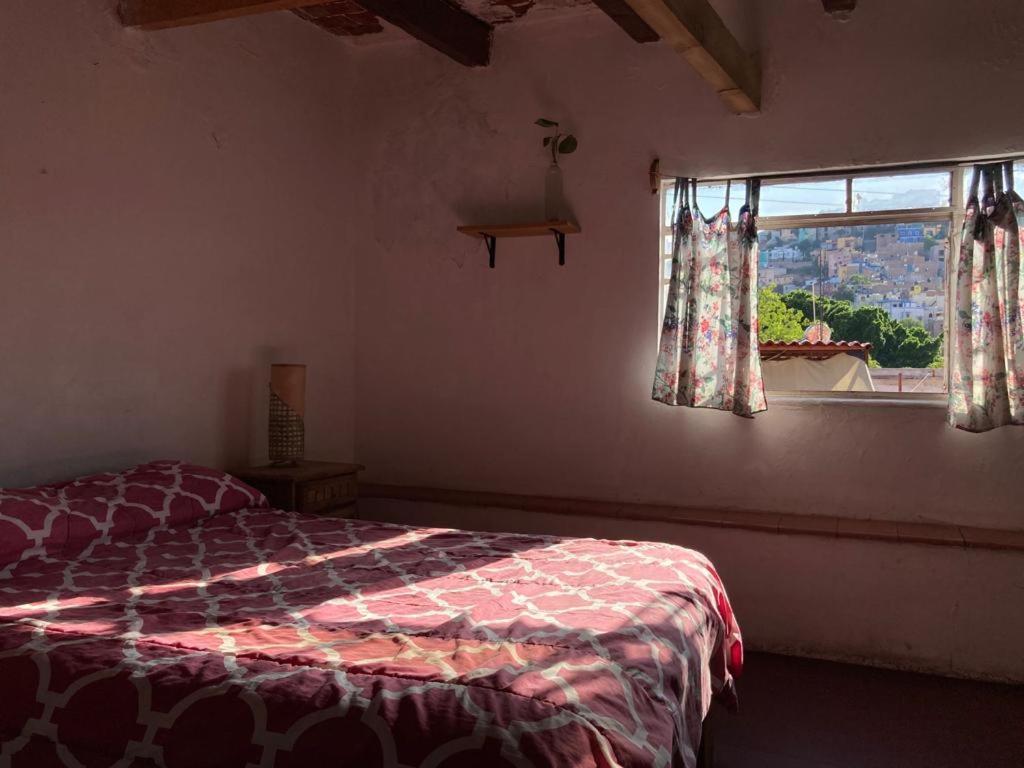 Hostalito Casa Alebrije Guanajuato Buitenkant foto